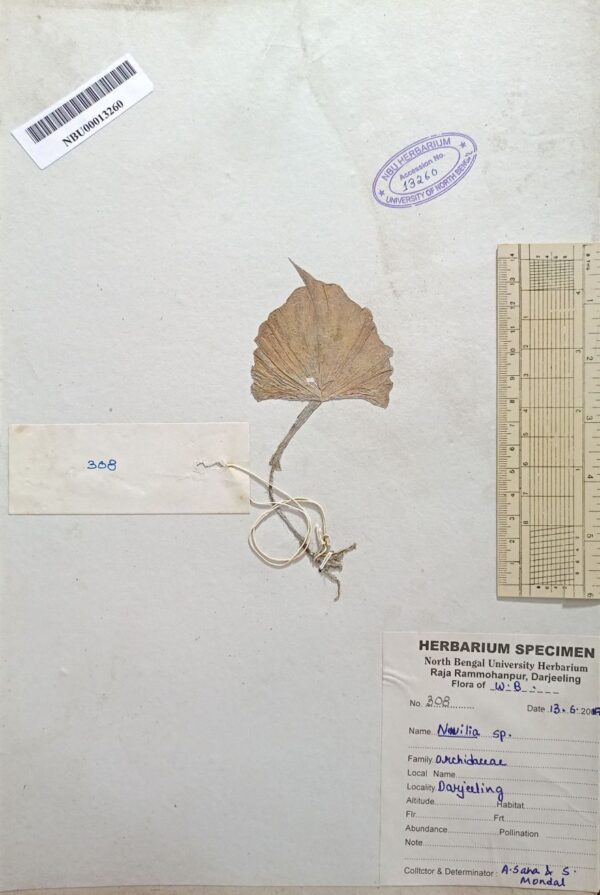 DocScanner 8 Apr 2026 1-31 pm – Copy
